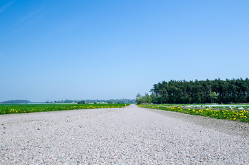 Image showing Road at springtime