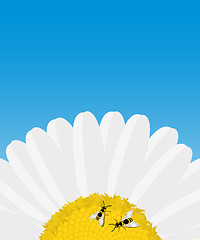 Image showing Daisy and bees card