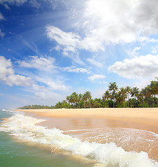 Image showing beautiful beach landscape