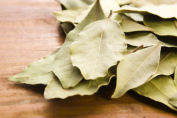 Image showing bay leafs