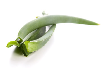 Image showing Aloe vera - herbal medicine 