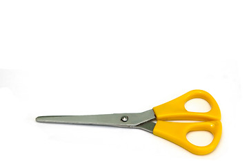 Image showing Scissors