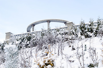 Image showing cement columns observation deck hill plant thuja  