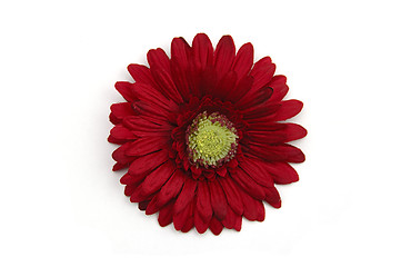 Image showing Artifical red flower