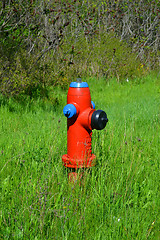 Image showing Lonely water hydrant.