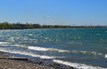Image showing Waves on lake Ontario.