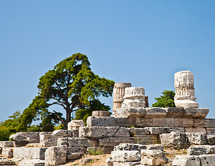 Image showing Paestum temple - Italy