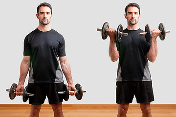 Image showing Standing Bicep Dumbbell Curl