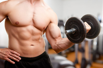 Image showing Standing Bicep Dumbbell Curl