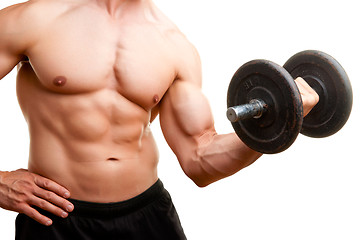 Image showing Standing Bicep Dumbbell Curl