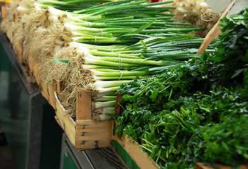 Image showing Green spring onion on market