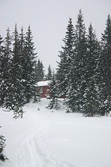 Image showing snowy winter landscape with red cottage