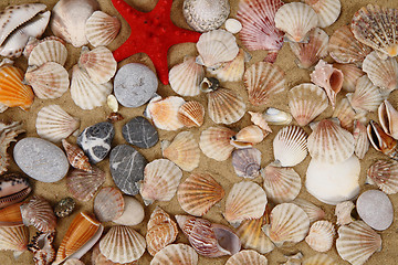 Image showing summer sea shells in the yellow sand