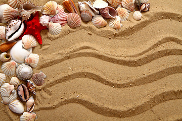 Image showing sea shells in the sand
