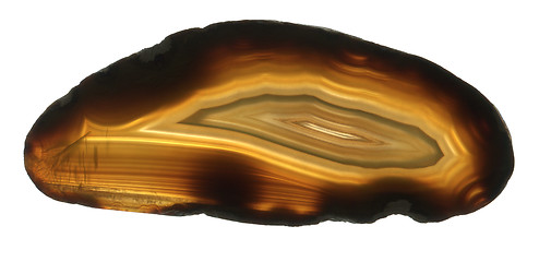 Image showing brown agate gem isolated 