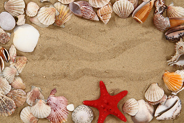 Image showing summer sea shells in the yellow sand