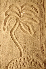 Image showing yellow sand texture (palm tree)