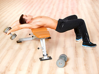 Image showing Man at the gym