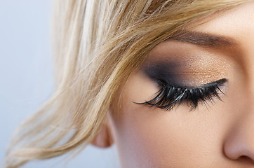 Image showing Feather Makeup