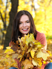 Image showing Beauty during autumn