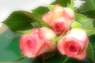 Image showing roses and chocolates