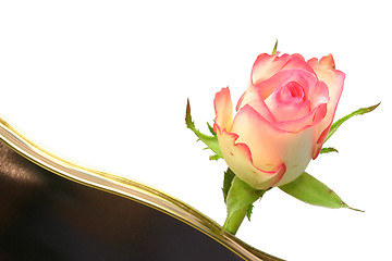 Image showing rose and chocolates