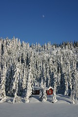 Image showing moon over winter landscape