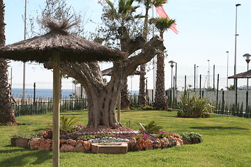 Image showing Lovely park next to the Mediterranean