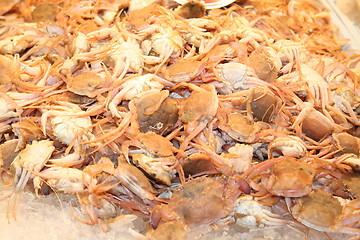 Image showing Small crabs in Market-hall,Spain