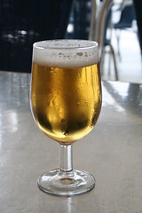 Image showing A glass of beer