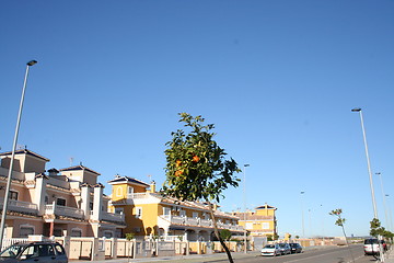 Image showing Beautiful houses