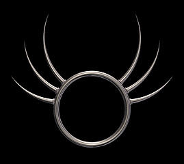 Image showing prickles ring