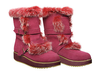 Image showing Women's winter boots, isolated