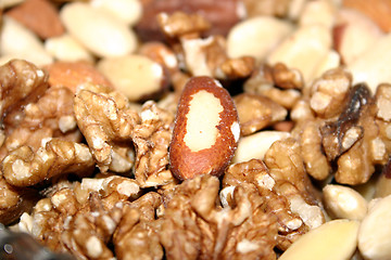 Image showing assorted fresh nuts