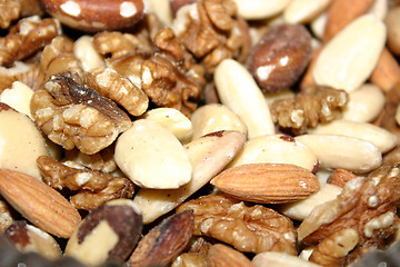 Image showing assorted fresh nuts
