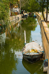 Image showing Canal at la Albufera