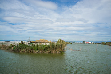 Image showing Albufera scenery