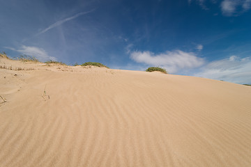 Image showing Dune