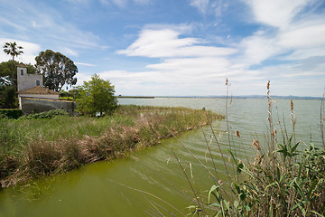 Image showing La Albufera landscape