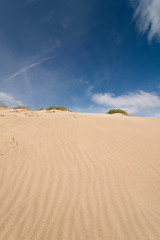 Image showing Dune abstract