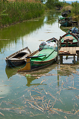 Image showing El Palmar, Valencia