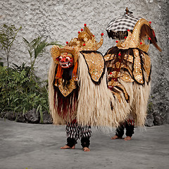 Image showing Traditional costume for theater - Barong. Indonesia, Bali