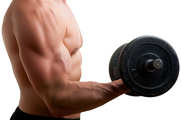 Image showing Standing Bicep Dumbbell Curl