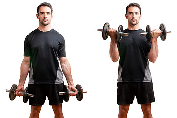 Image showing Standing Bicep Dumbbell Curl