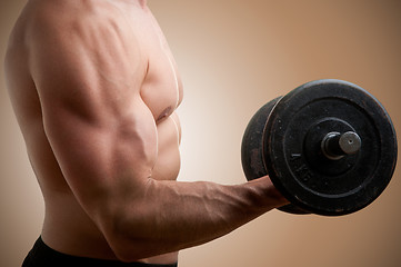 Image showing Standing Bicep Dumbbell Curl