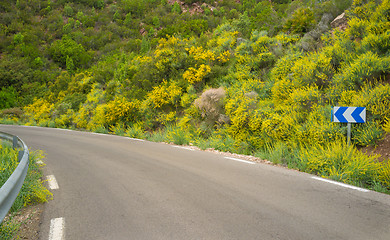 Image showing Road in spring