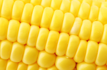 Image showing corn close up