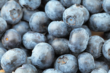 Image showing Heap of blueberry