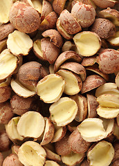 Image showing Fox nuts, traditional chinese medicine