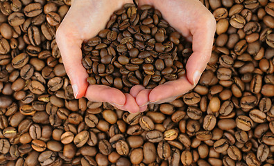 Image showing Coffee hands